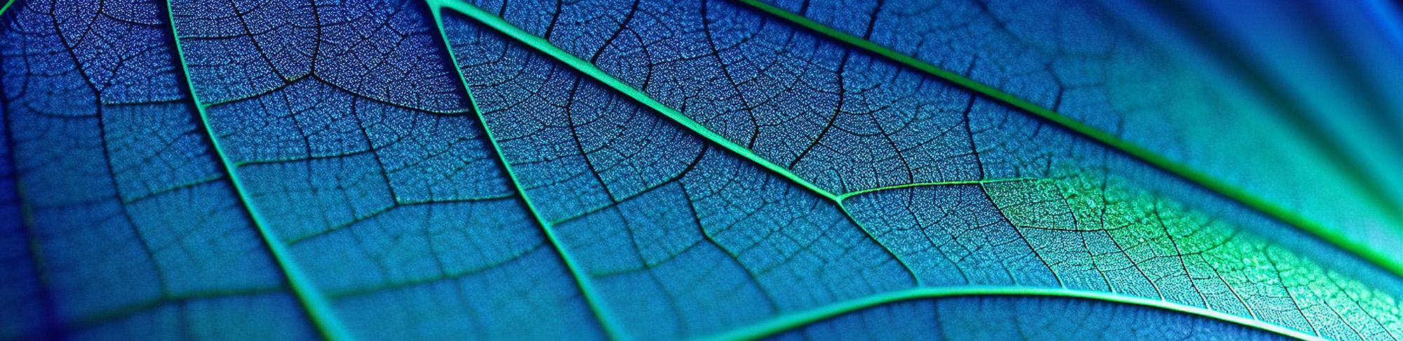 Earth Day Banner showing texture of a leaf under a microscope